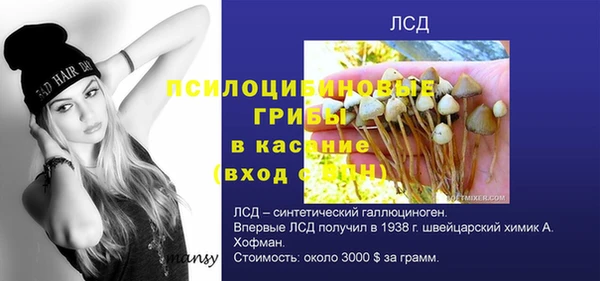 гашиш Горнозаводск
