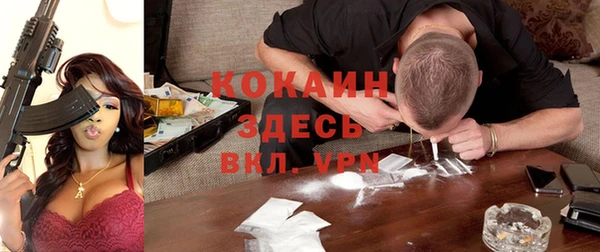стаф Вязьма