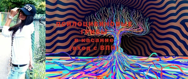 гашиш Горнозаводск